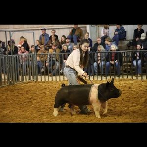 Meet your Posher, Kenzie